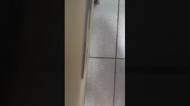 qq999  16-10-2022